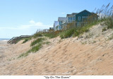 048  Up On The Dunes.jpg