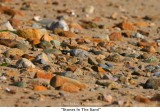 027  Stones In The Sand.jpg
