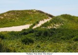027  Follow This Over The Dune.jpg