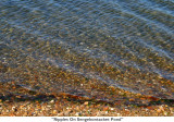 078  Ripples On Sengekontacket Pond.jpg