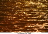 083  Pure Gold On The Water.jpg