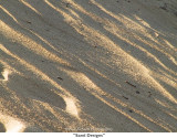 081  Sand Designs.jpg