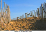 176  Sandy Path At Race Point Beach.jpg