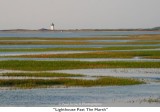 233  Lighthouse Past The Marsh.jpg