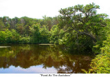 256  Pond At The Audubon.jpg