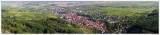 Pano Ribeauvill from Above