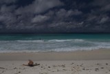 051-grand anse in La Digue....jpg