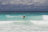 052-surfing!.jpg