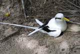 071-they do like the ground.jpg