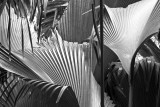 124-bw.jpg