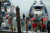 Crowded Dock