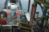 Ocean Fishing