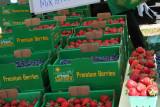 Oregon Berries