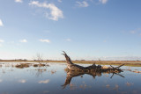 buitenlanden 20-01-2011.jpg