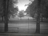 Herne Hill  Park.jpg