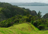 The Trail to Whale Bay