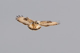 Hover