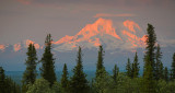 Mt. Wrangell Alpenglow