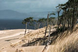 Oregon Dunes NRA