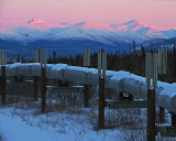 The Trans Alaska Pipeline