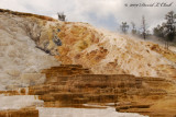 Mammoth Hot Springs