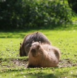 xMunich_Zoo0067.JPG