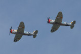 Republic P-47D Thunderbolts