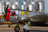 Republic P-47D Thunderbolt Wicked Wabbit