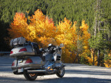 gl1800_riders