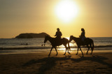 Manuel Antonio Beach Horeback Riding