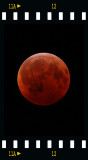Lunar Eclipse in Totality (21Dec2010)