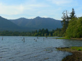 Quinault Lake