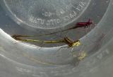 Burgundy Bluets - <i>Enallagma dubium</i>