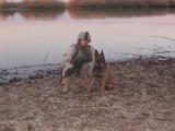 SSgt. William Rider and MWD Rex-2