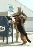 SSgt. Fields & MWD Eddy checking out the mail.