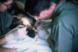 Sargent 4M59  Getting A Root Canal  Udorn 1969  6