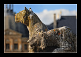 Vaux le Vicomte (EPO_4531)