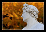 Versailles gardens (EPO_5651)