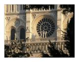 Notre Dame de Paris. 9