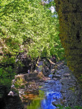 Watkins Glen State Park