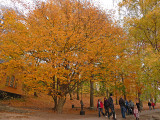 Nobel Park