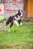 KP7_0670Sprocket.jpg
