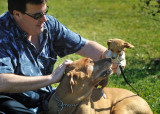 Brian&Dogs_0774.jpg