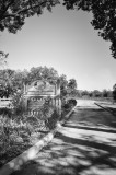 LongFellowSP_0092 b&wA.JPG