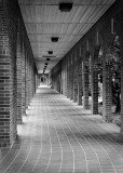 Copy of _KP79292 b&w.jpg