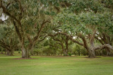 Tabasco081509 292-.jpg