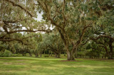 Tabasco081509 294-.jpg