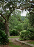 Tabasco081509 366-_1.jpg