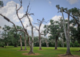 Tabasco081509 372-_1.jpg