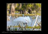 LakeMartin-0118.jpg